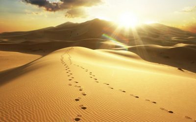 Walking Through The Desert